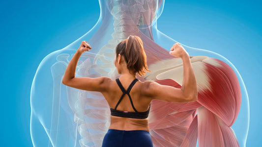 The Silent Threat to Women’s Health: Why Muscle Loss Matters More Than You Think