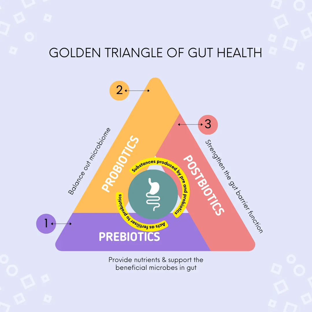 Golden Triangle of Gut Health